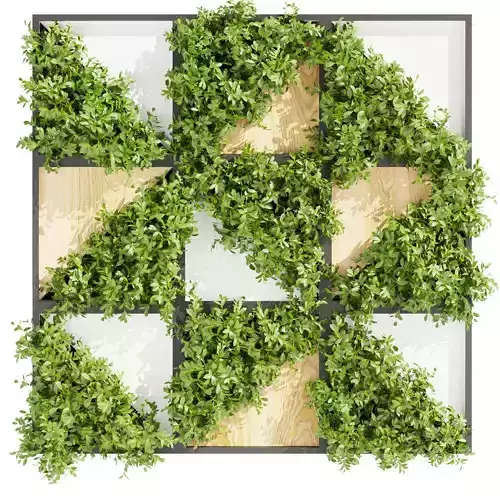 Collection plant vol 405 - fitowall - ertical - leaf - bush 3D model