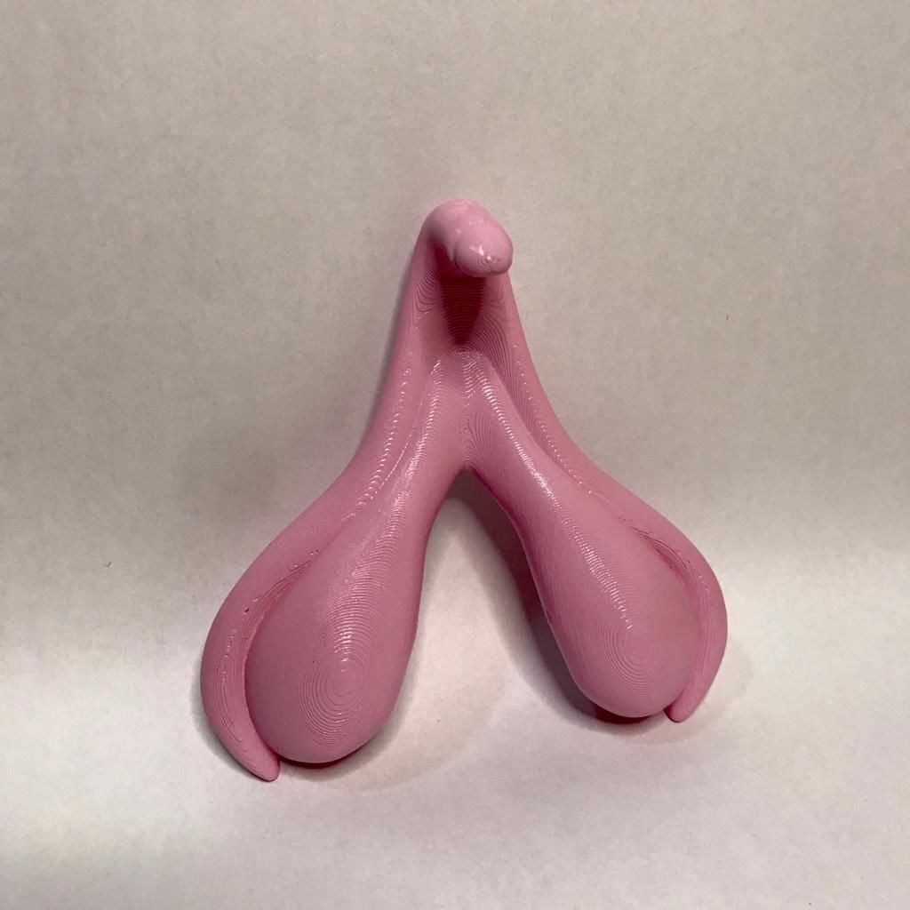 Clitoris Anatomy 3D print model_4
