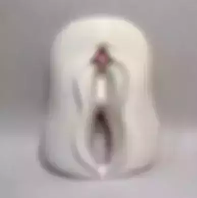 Clitoris Anatomy 3D print model