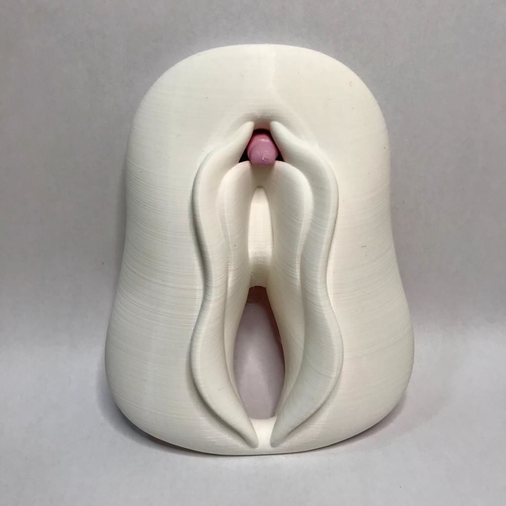 Clitoris Anatomy 3D print model_1