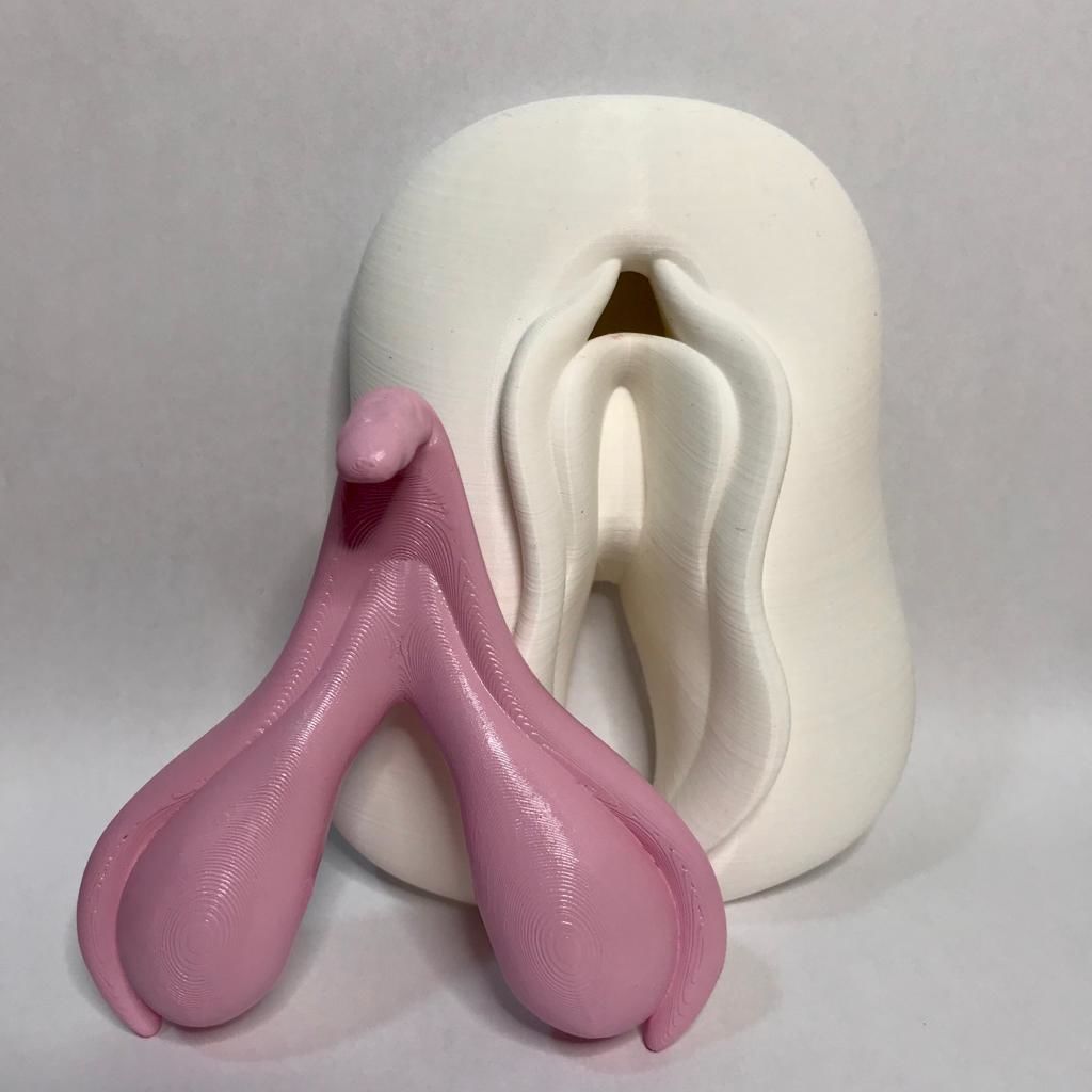 Clitoris Anatomy 3D print model_3