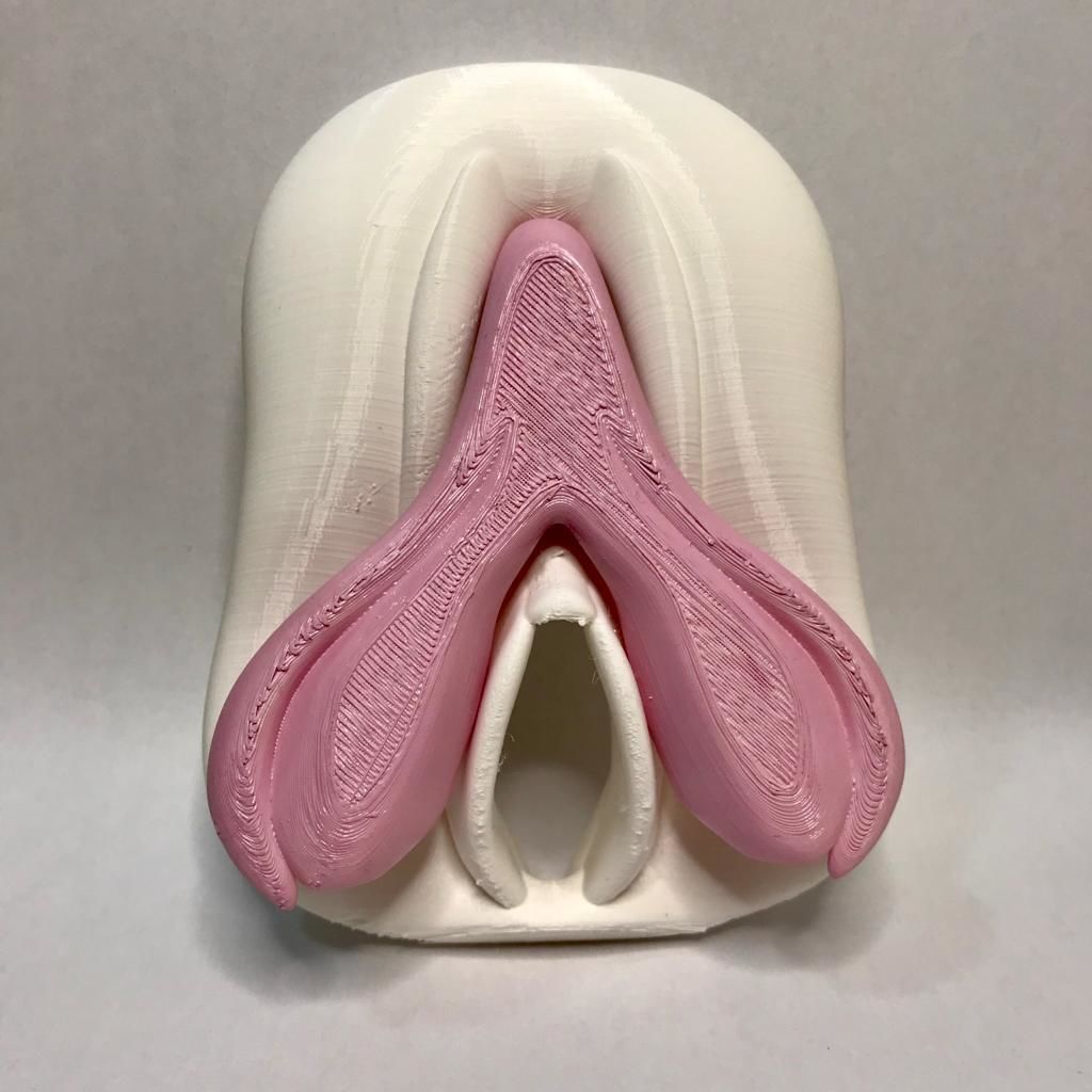 Clitoris Anatomy 3D print model_2