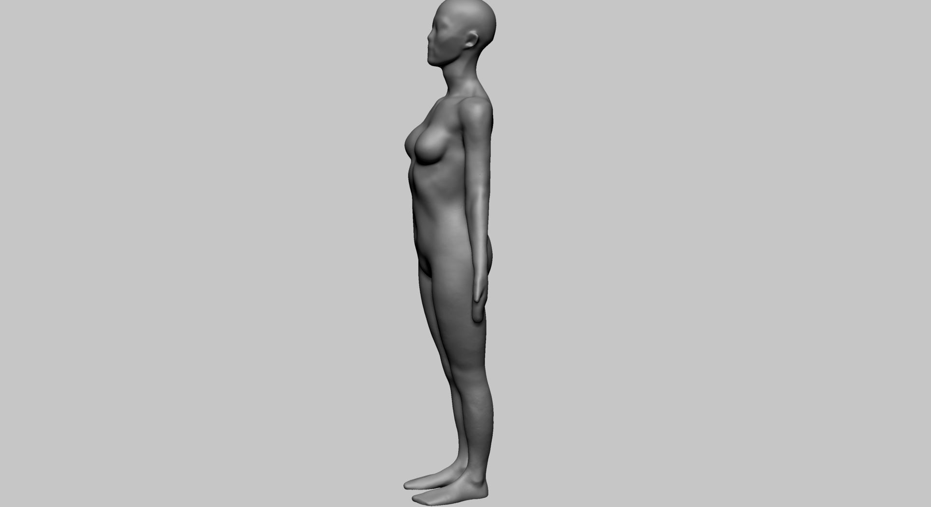 Base Female Anatomy B 3D model_7