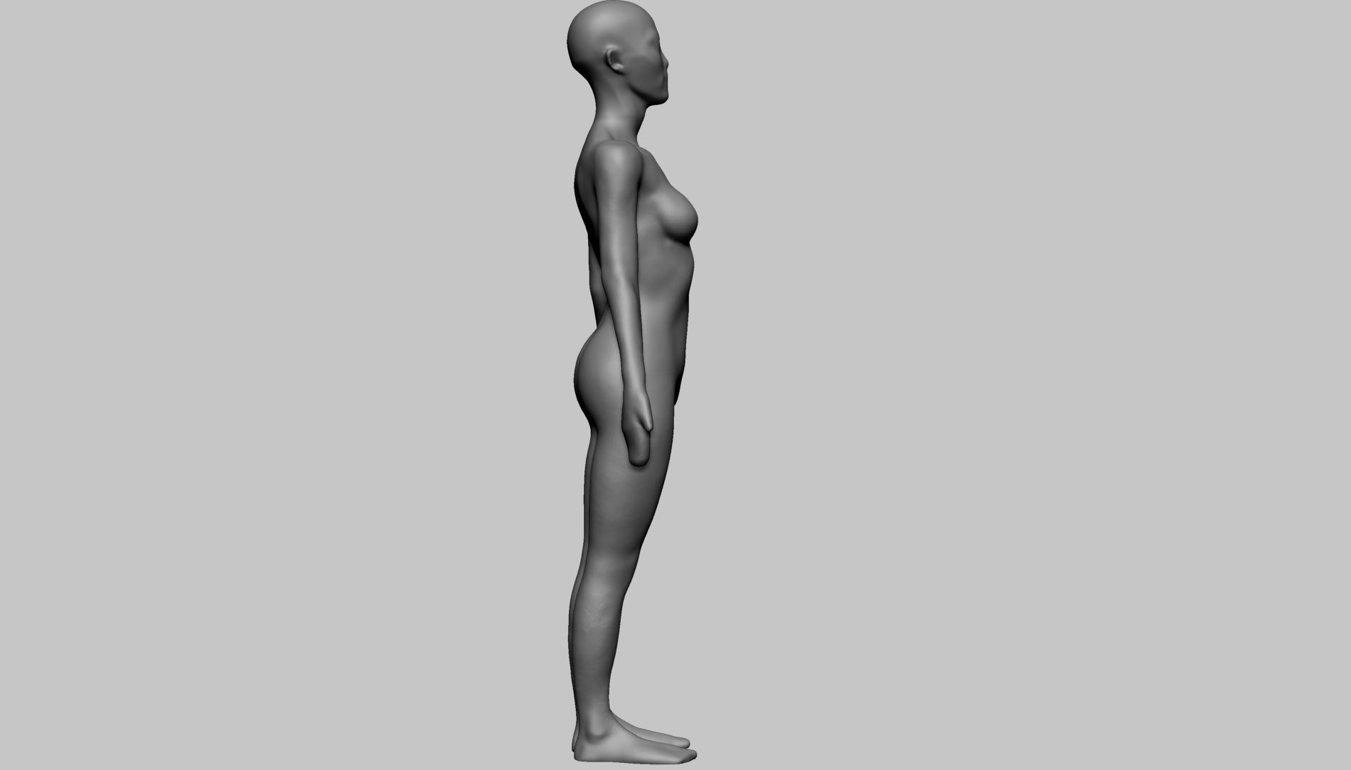 Base Female Anatomy B 3D model_3