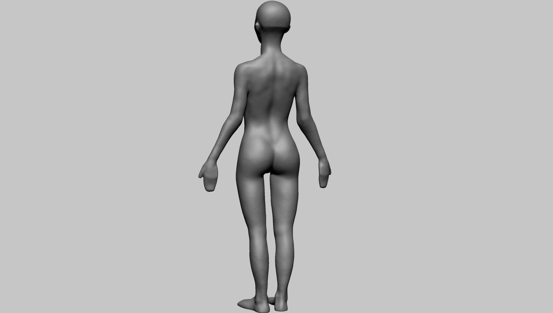 Base Female Anatomy B 3D model_6