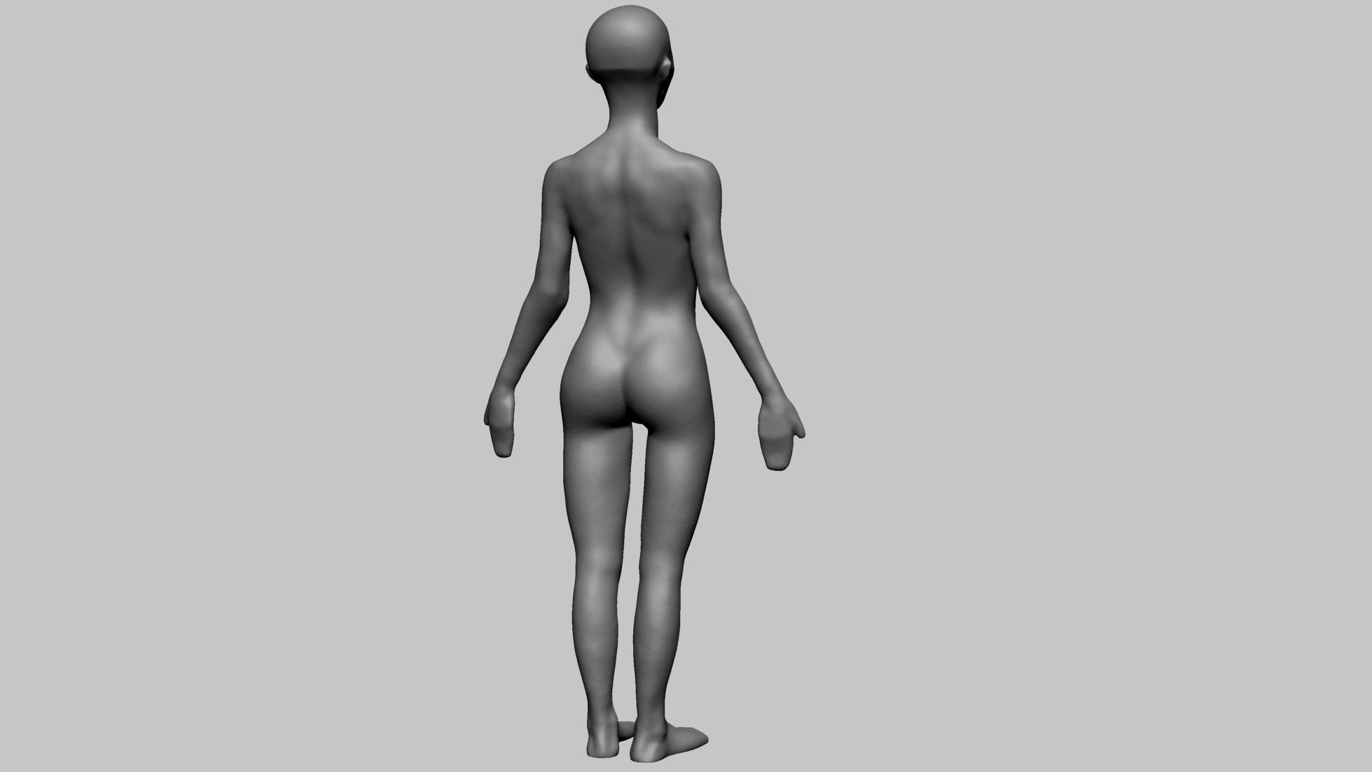 Base Female Anatomy B 3D model_4