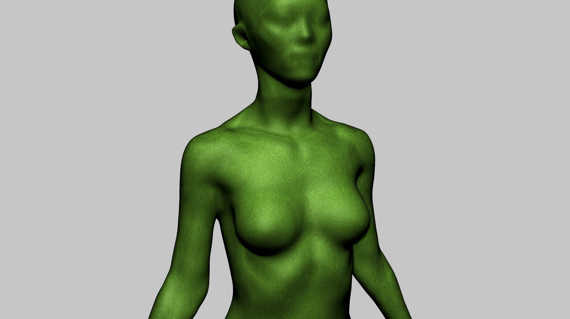 Base Female Anatomy B 3D model_11