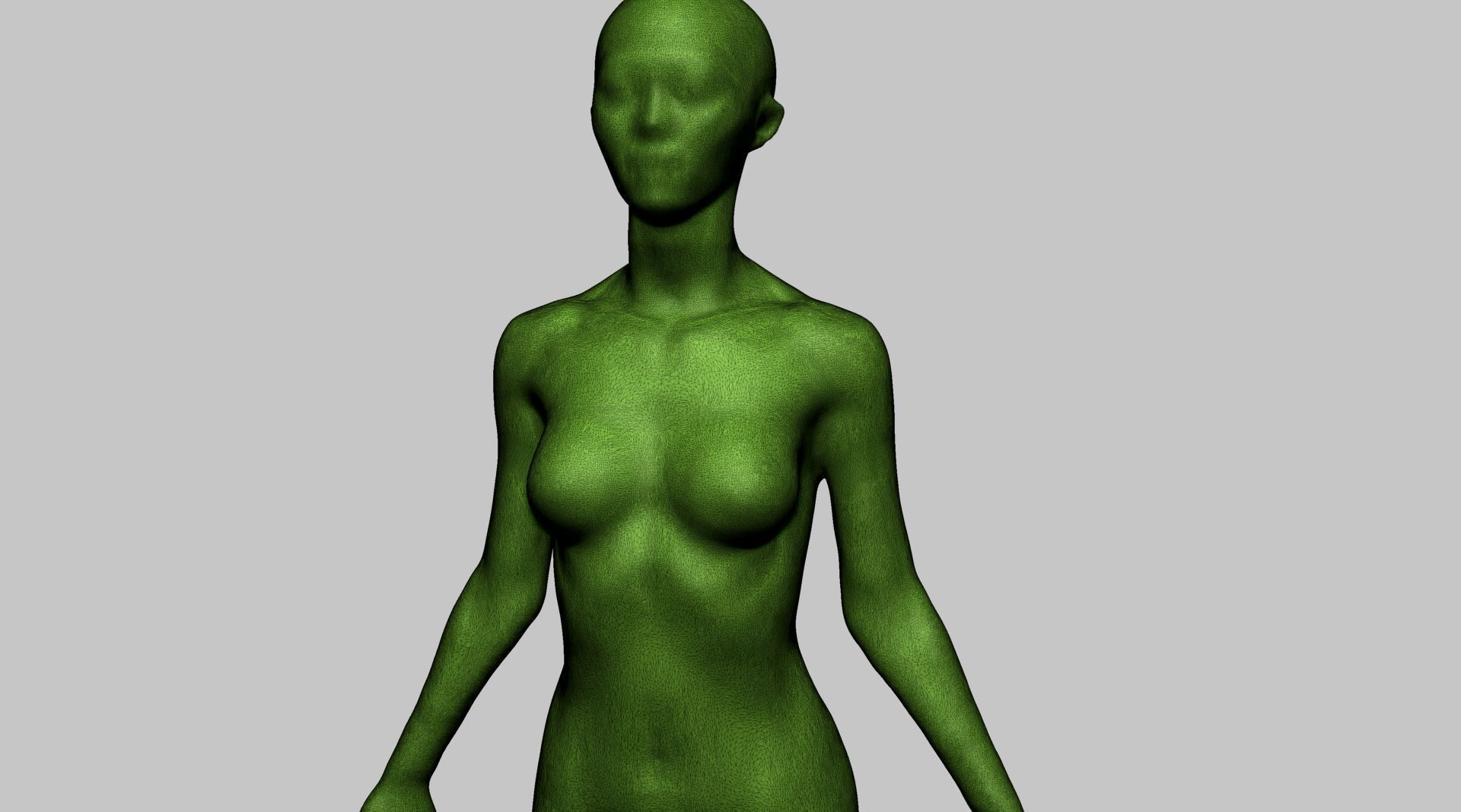 Base Female Anatomy B 3D model_12