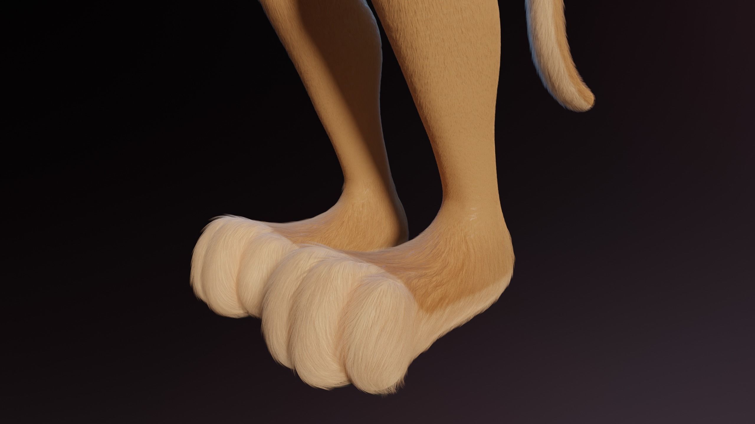 Nayara Anthro Lioness 3D model_13