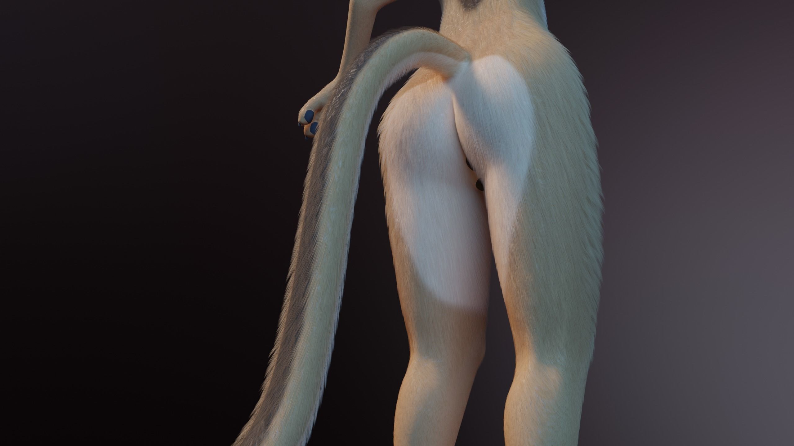 Nayara Anthro Lioness 3D model_10