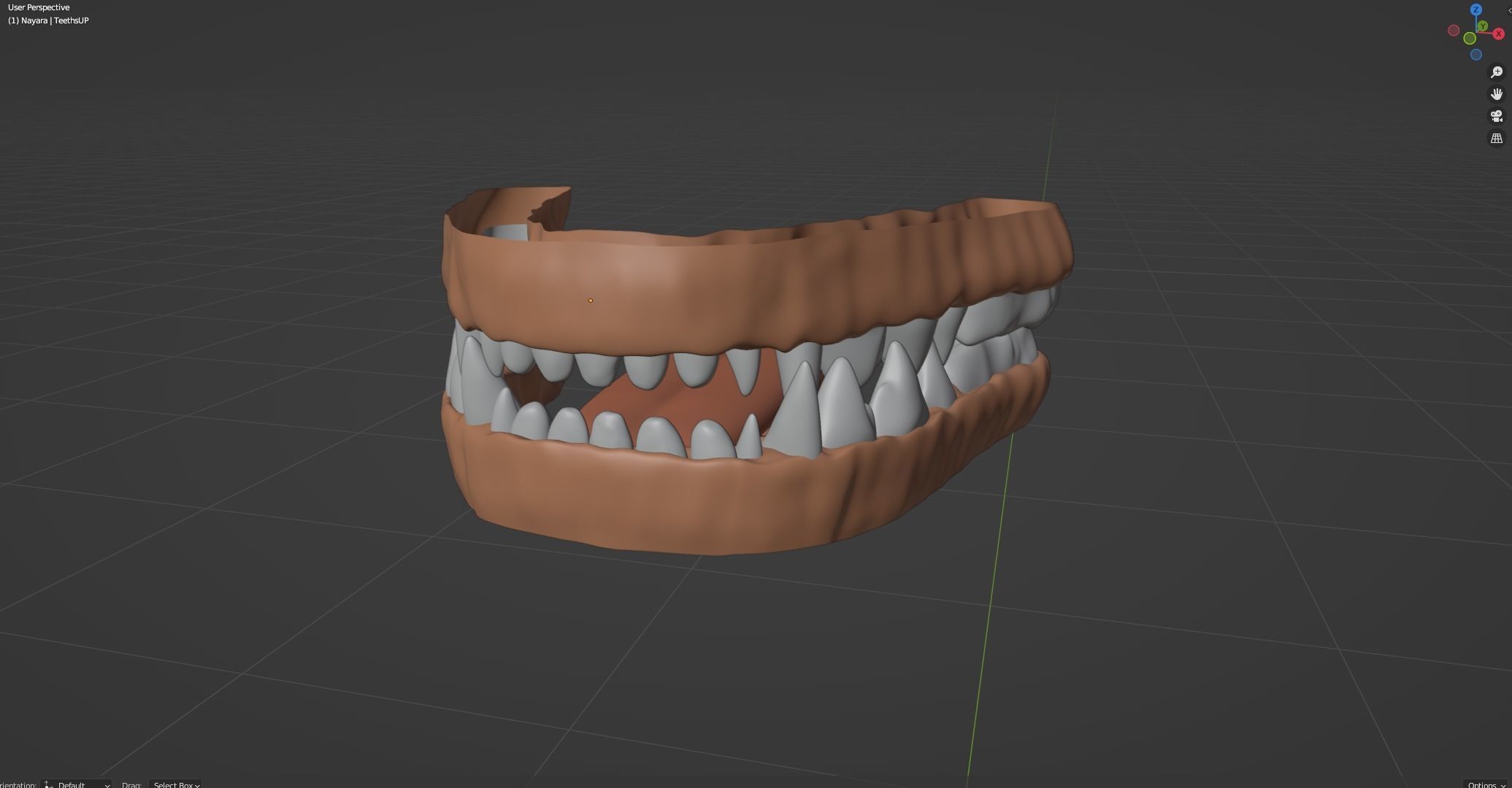 Nayara Anthro Lioness 3D model_86