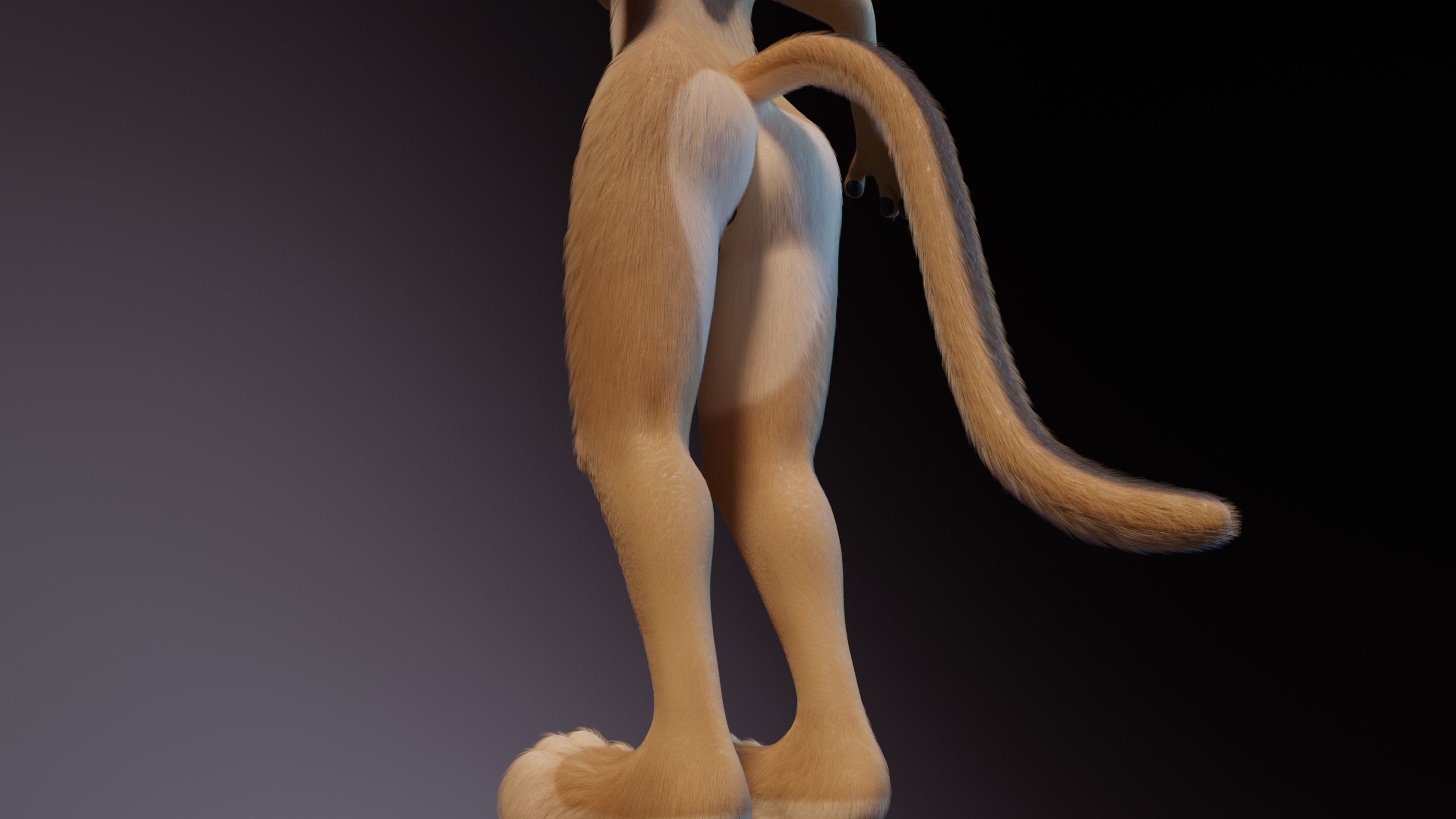 Nayara Anthro Lioness 3D model_9