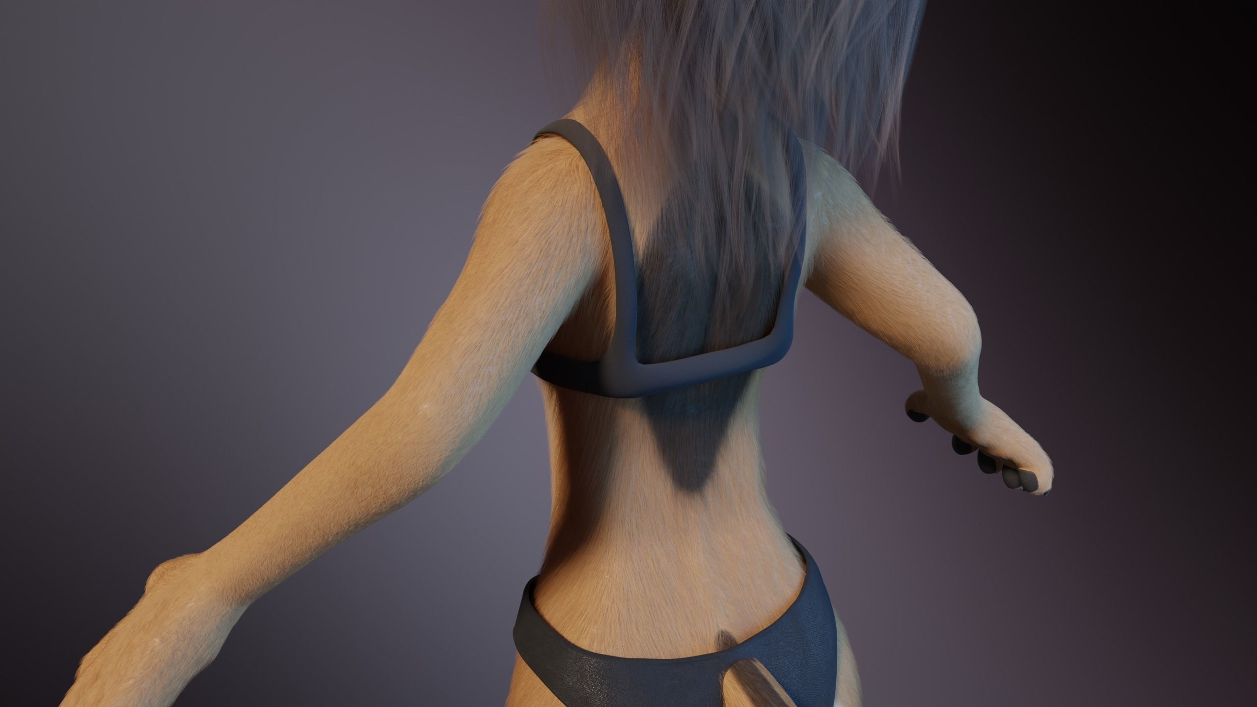 Nayara Anthro Lioness 3D model_25