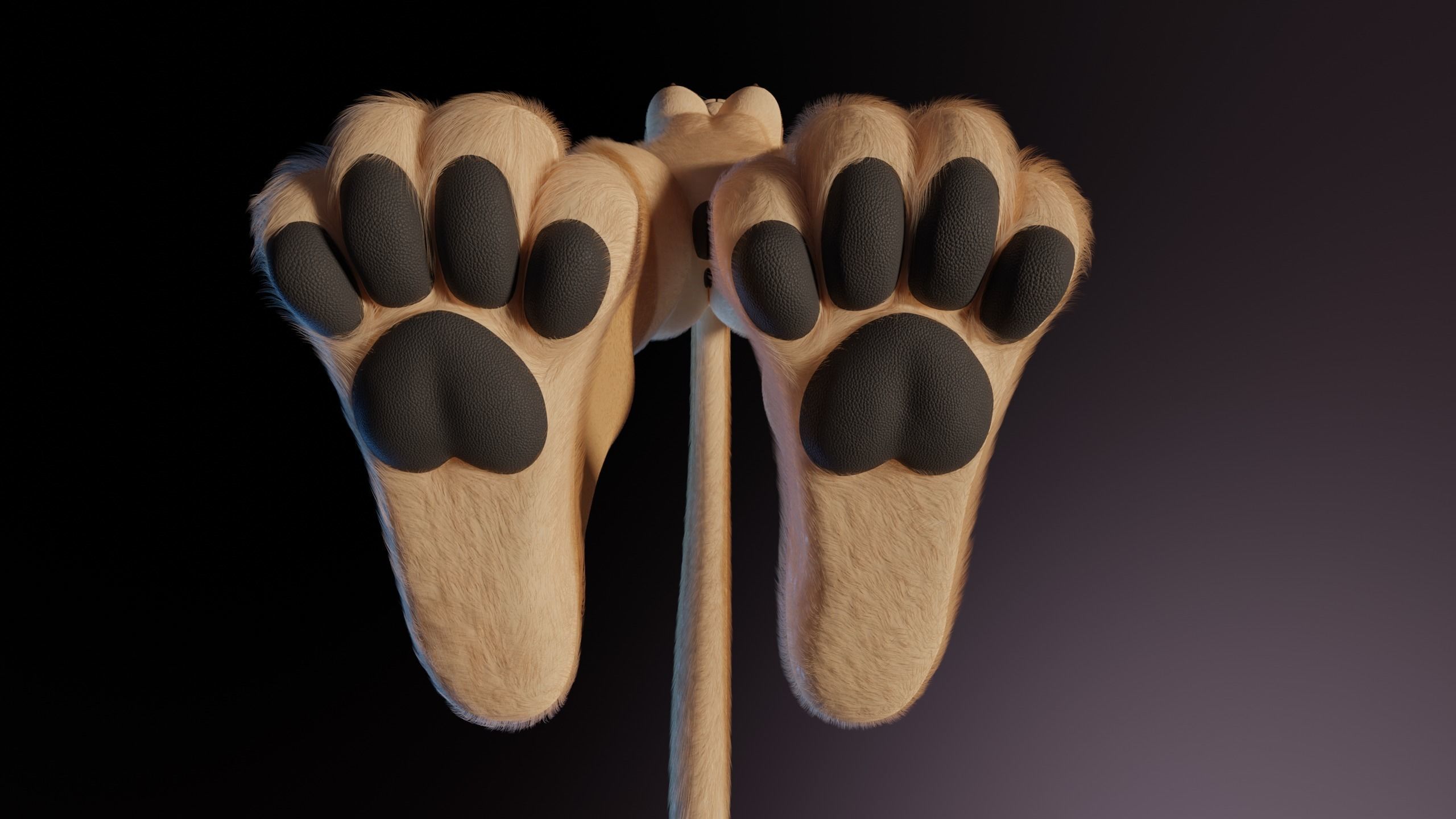 Nayara Anthro Lioness 3D model_14