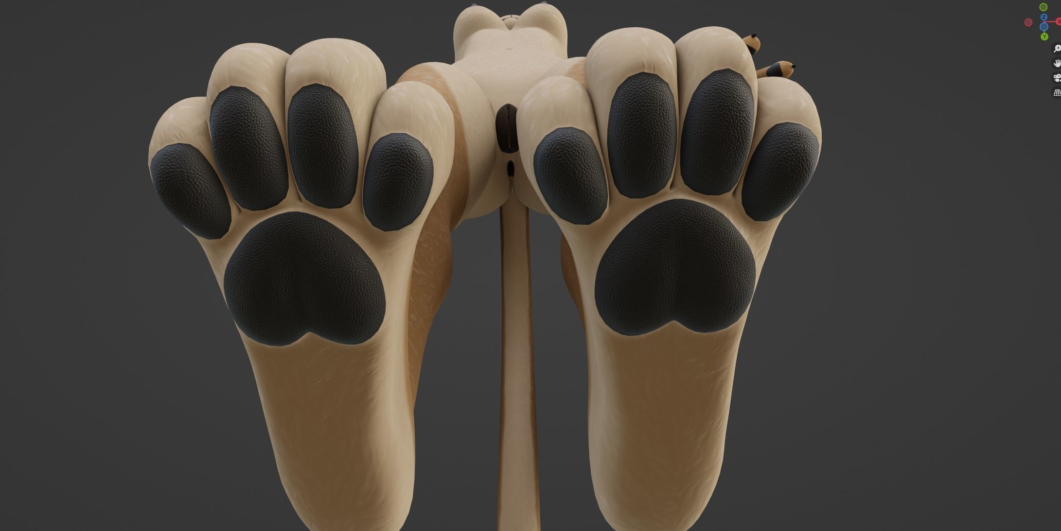 Nayara Anthro Lioness 3D model_57