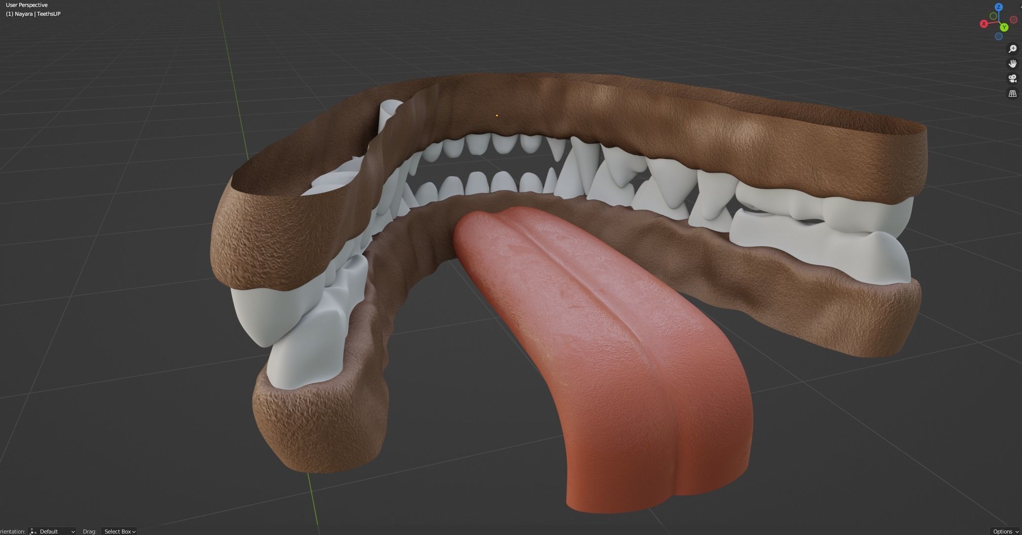 Nayara Anthro Lioness 3D model_89