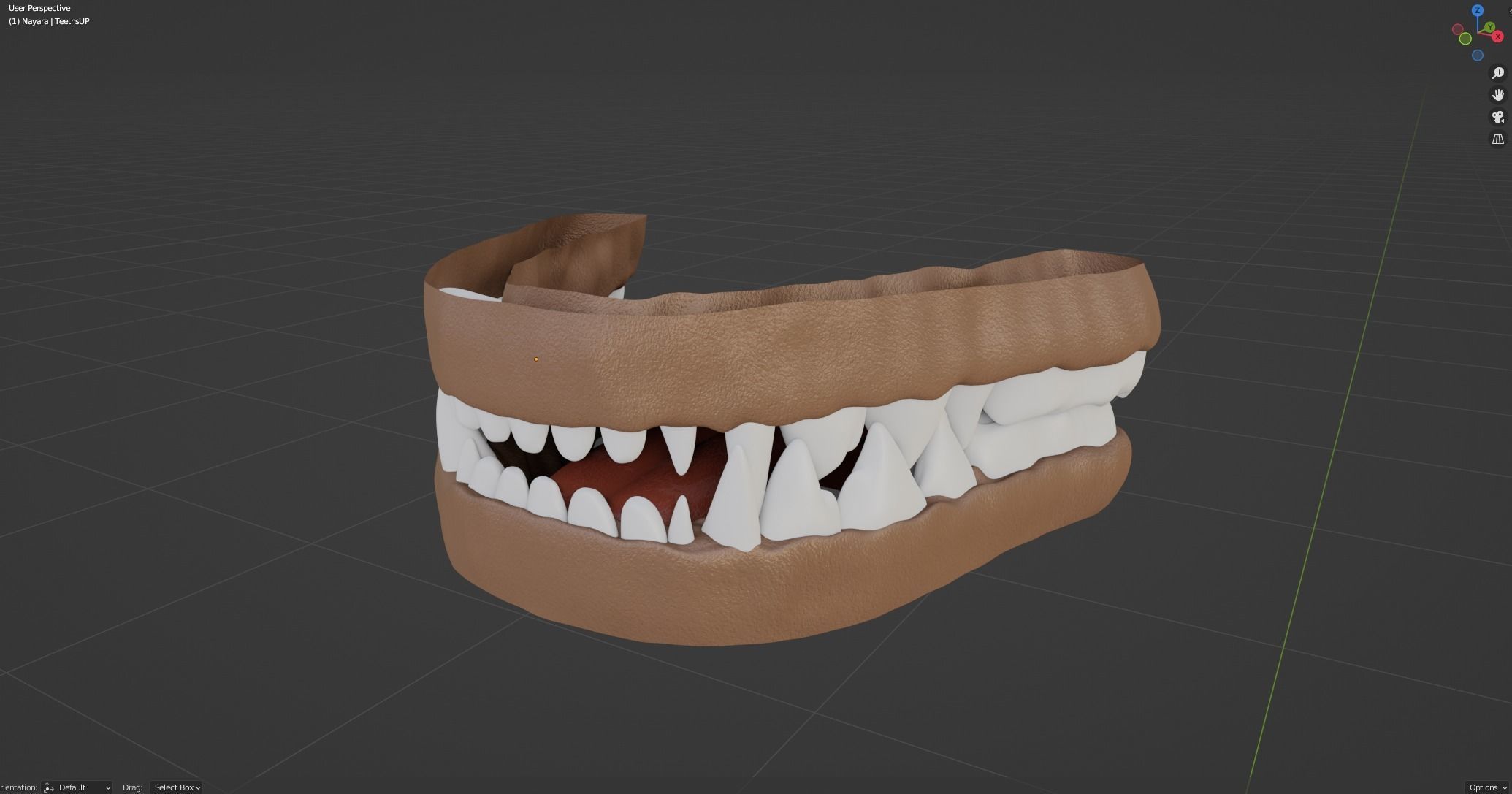 Nayara Anthro Lioness 3D model_88