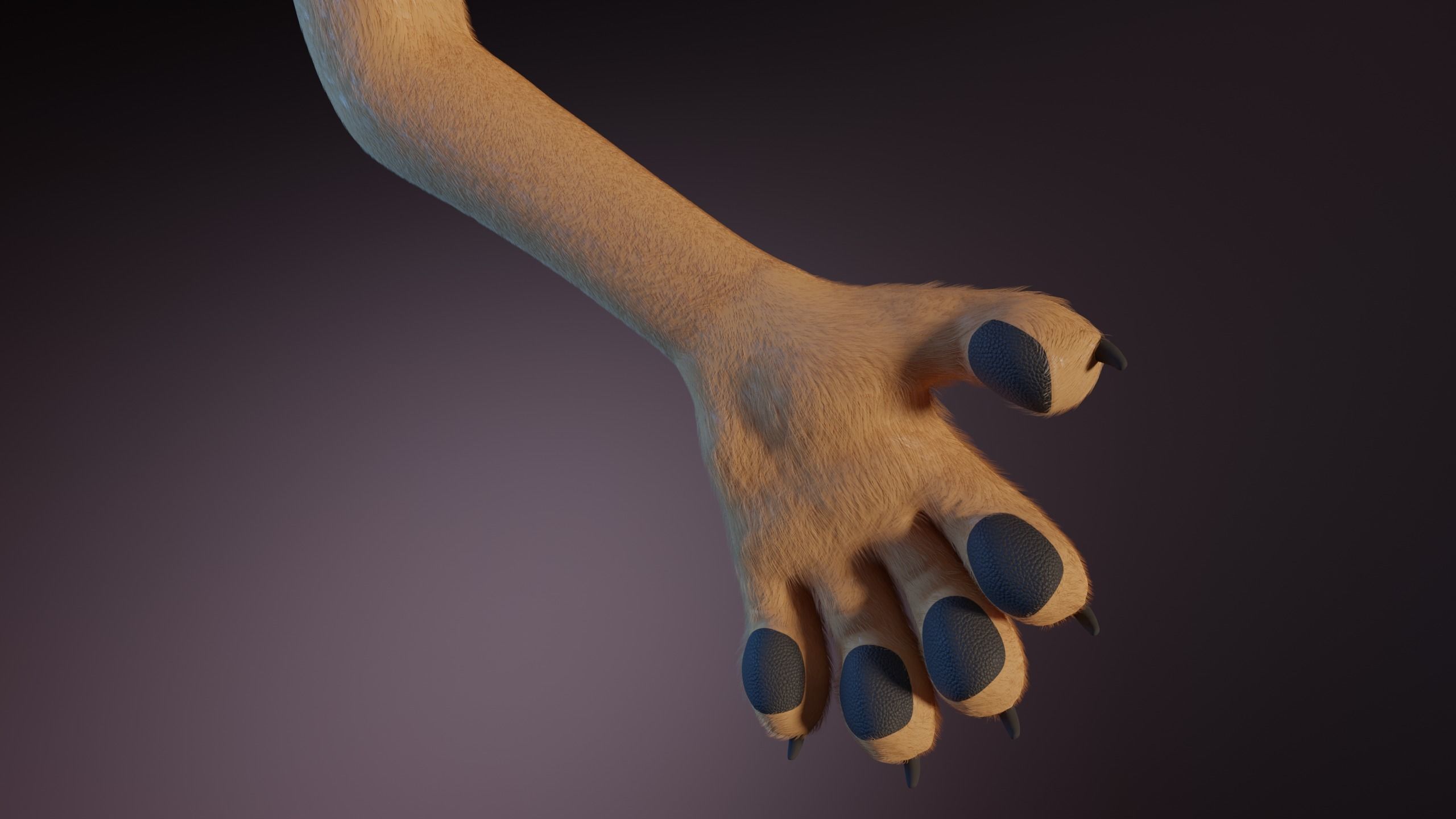 Nayara Anthro Lioness 3D model_12