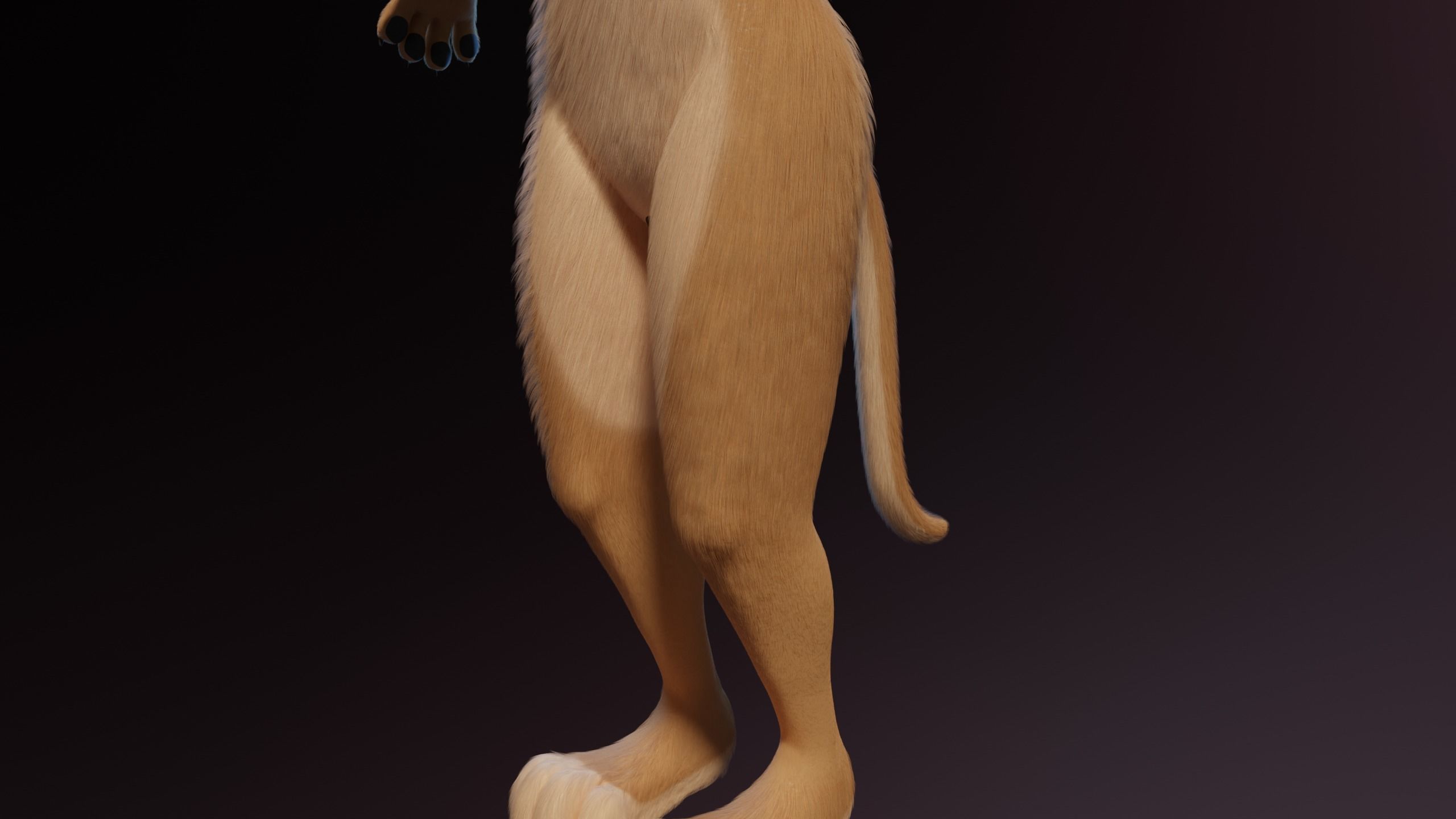 Nayara Anthro Lioness 3D model_8