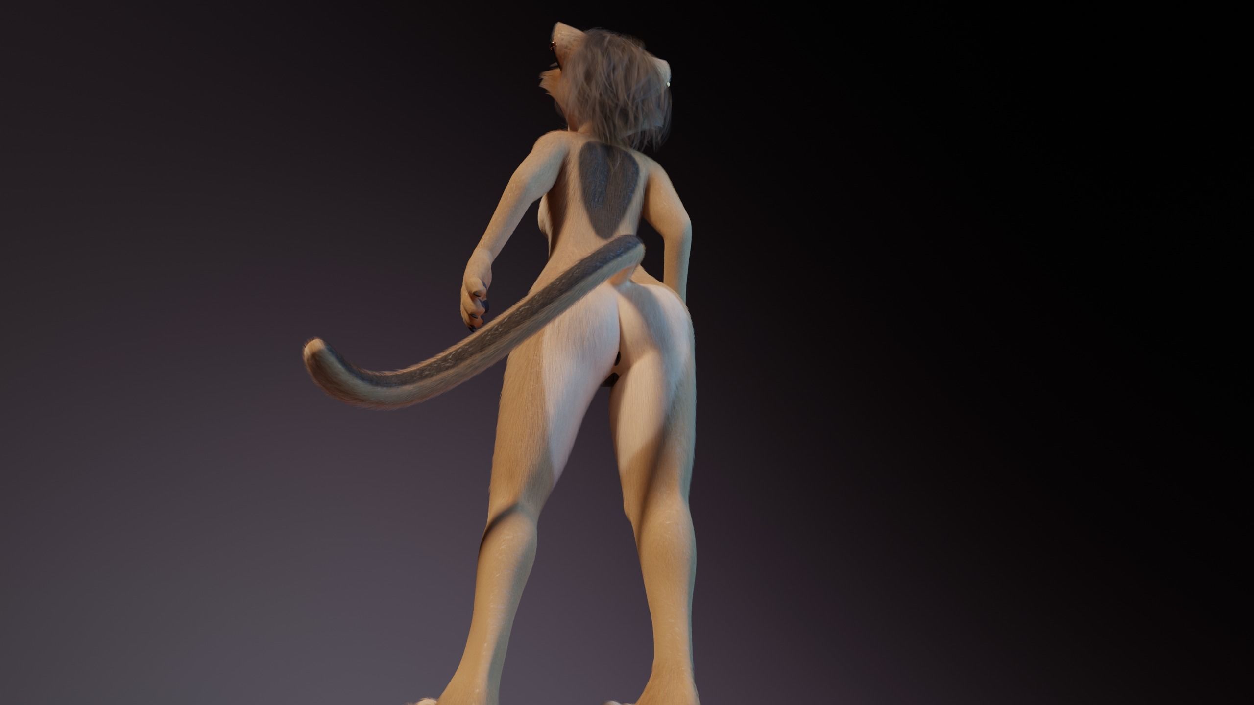 Nayara Anthro Lioness 3D model_20