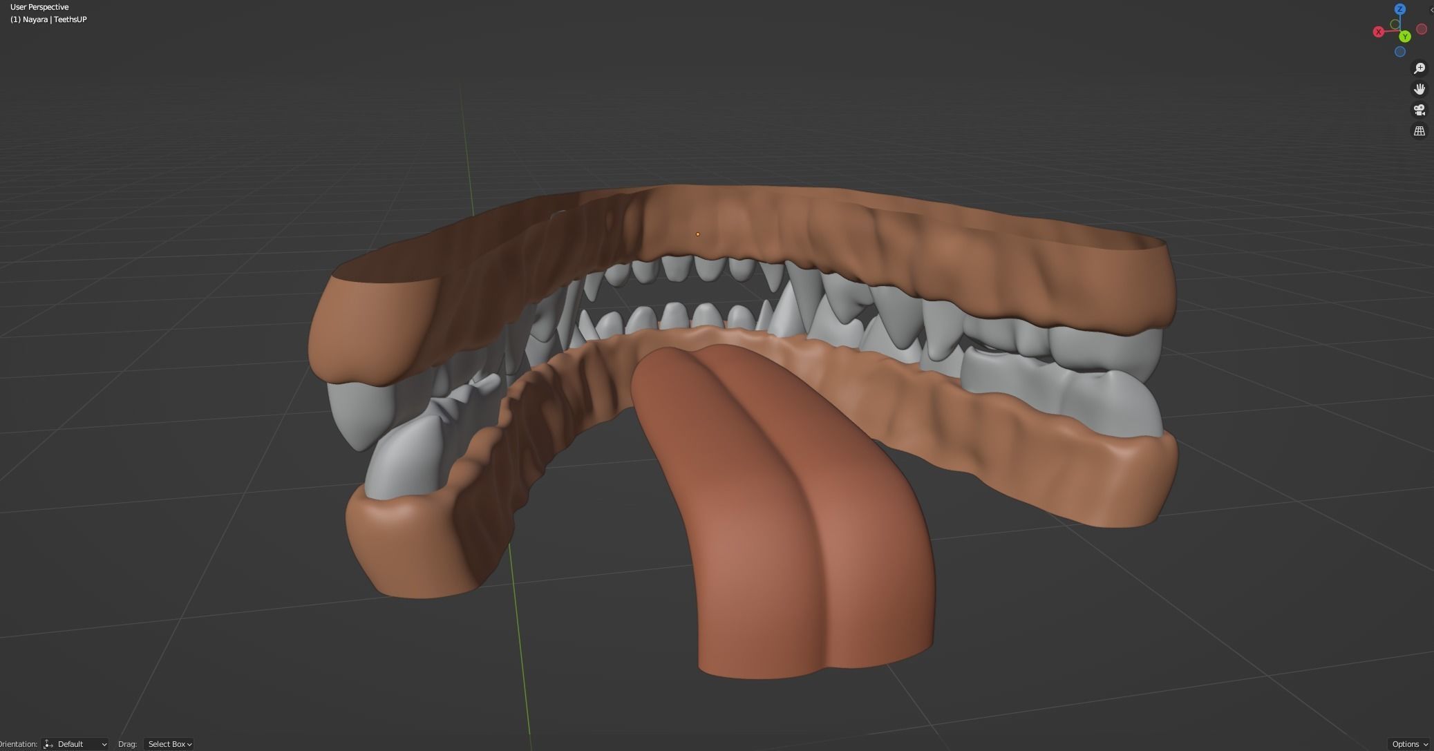 Nayara Anthro Lioness 3D model_87