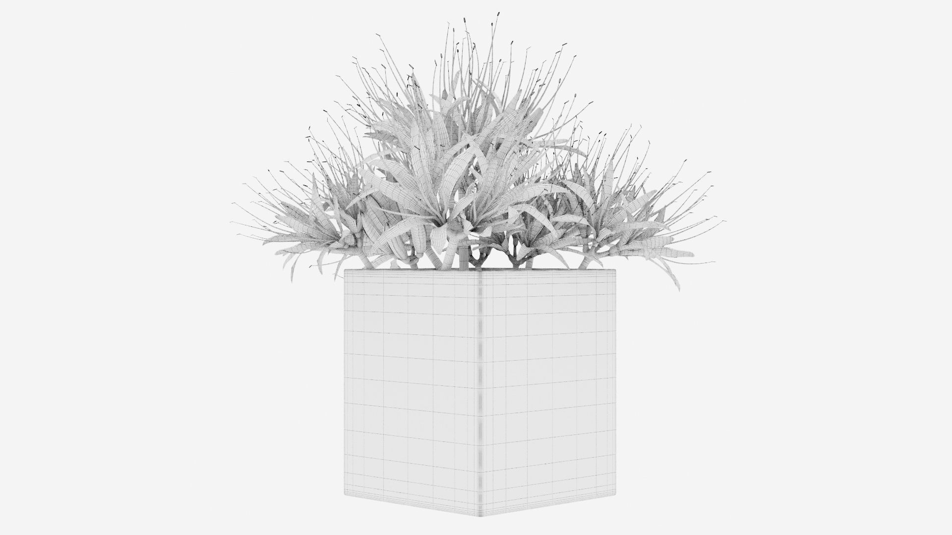 Plant 22 3D model_4