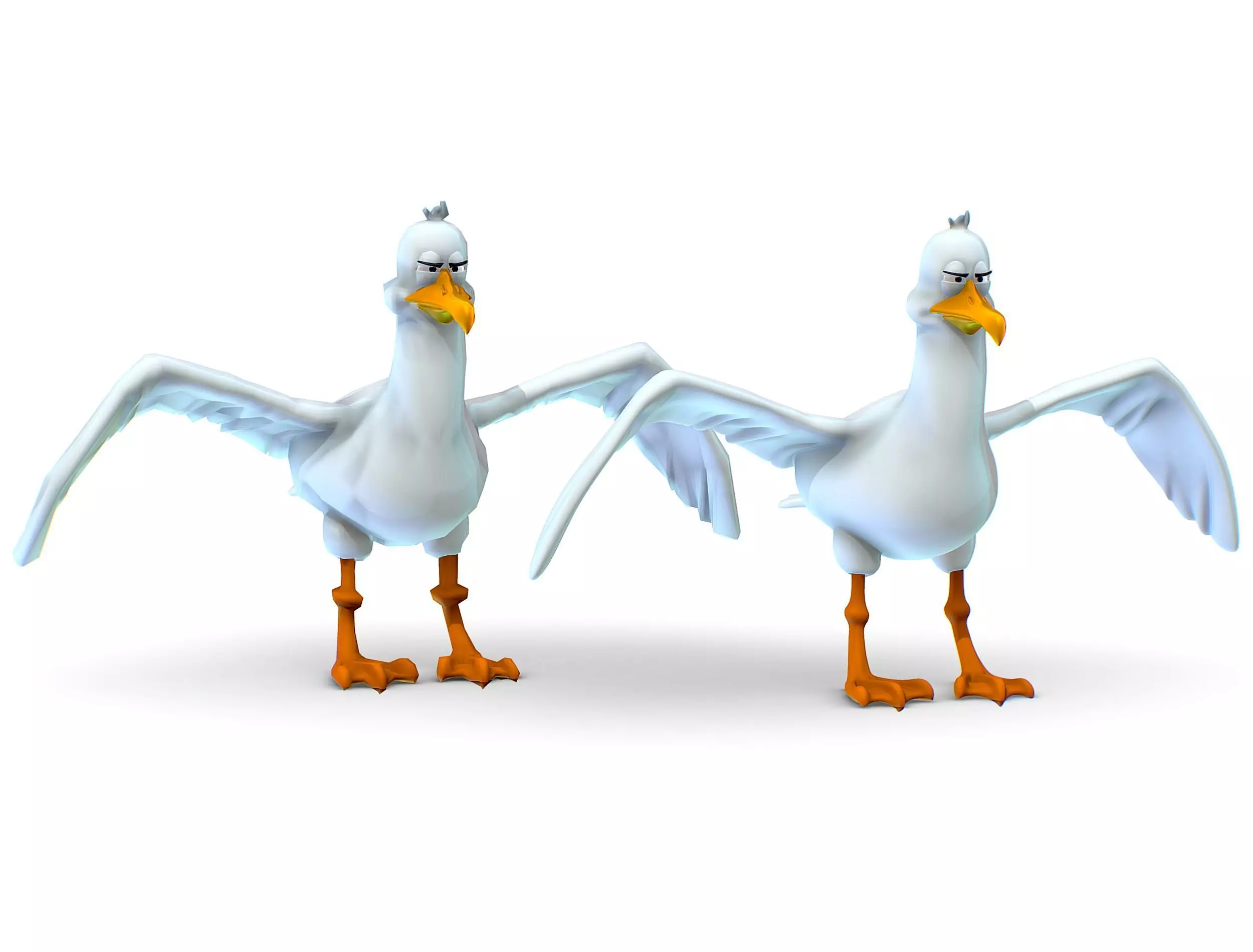 Seagull - Albatross - Sea Bird Gull 3D model
