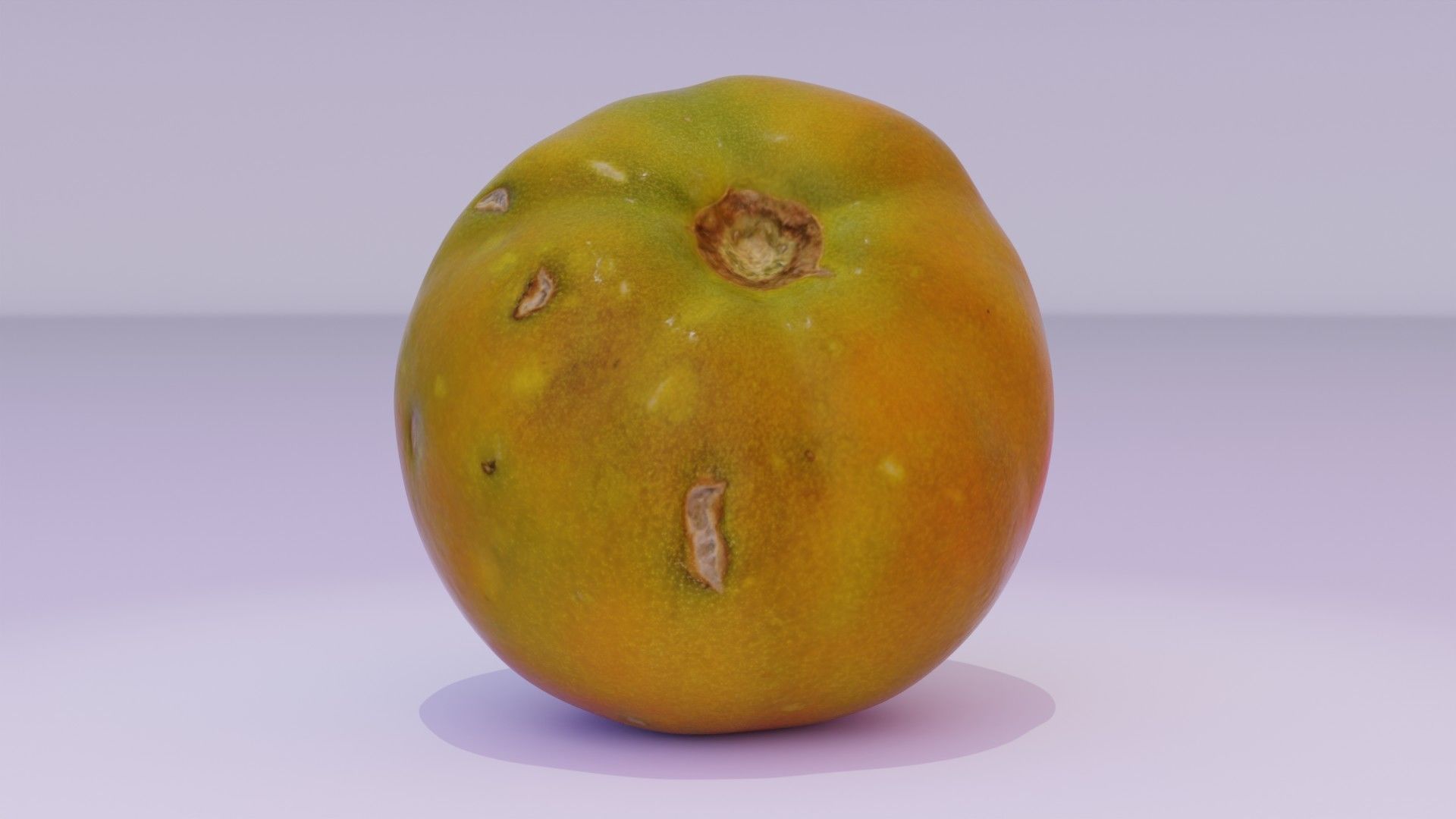 Tomato 03 Low-poly 3D model_11