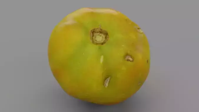 Tomato 03
