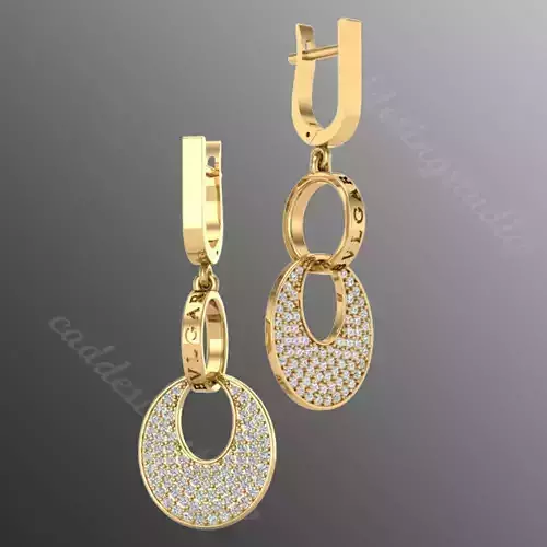 Earrings od40