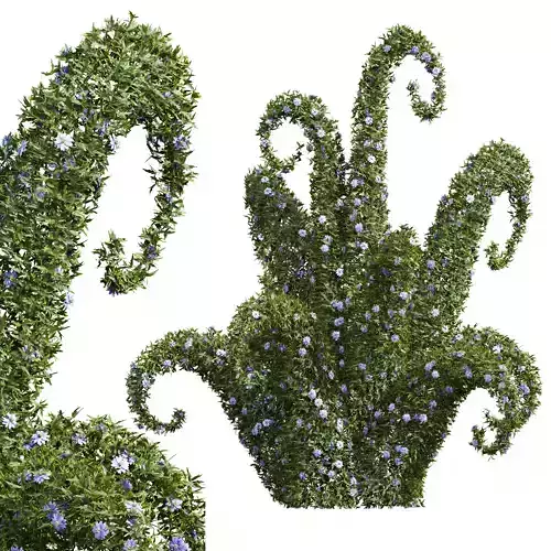 New Plant Nigella Damascena Jungfer Grunen Pruned 3D model