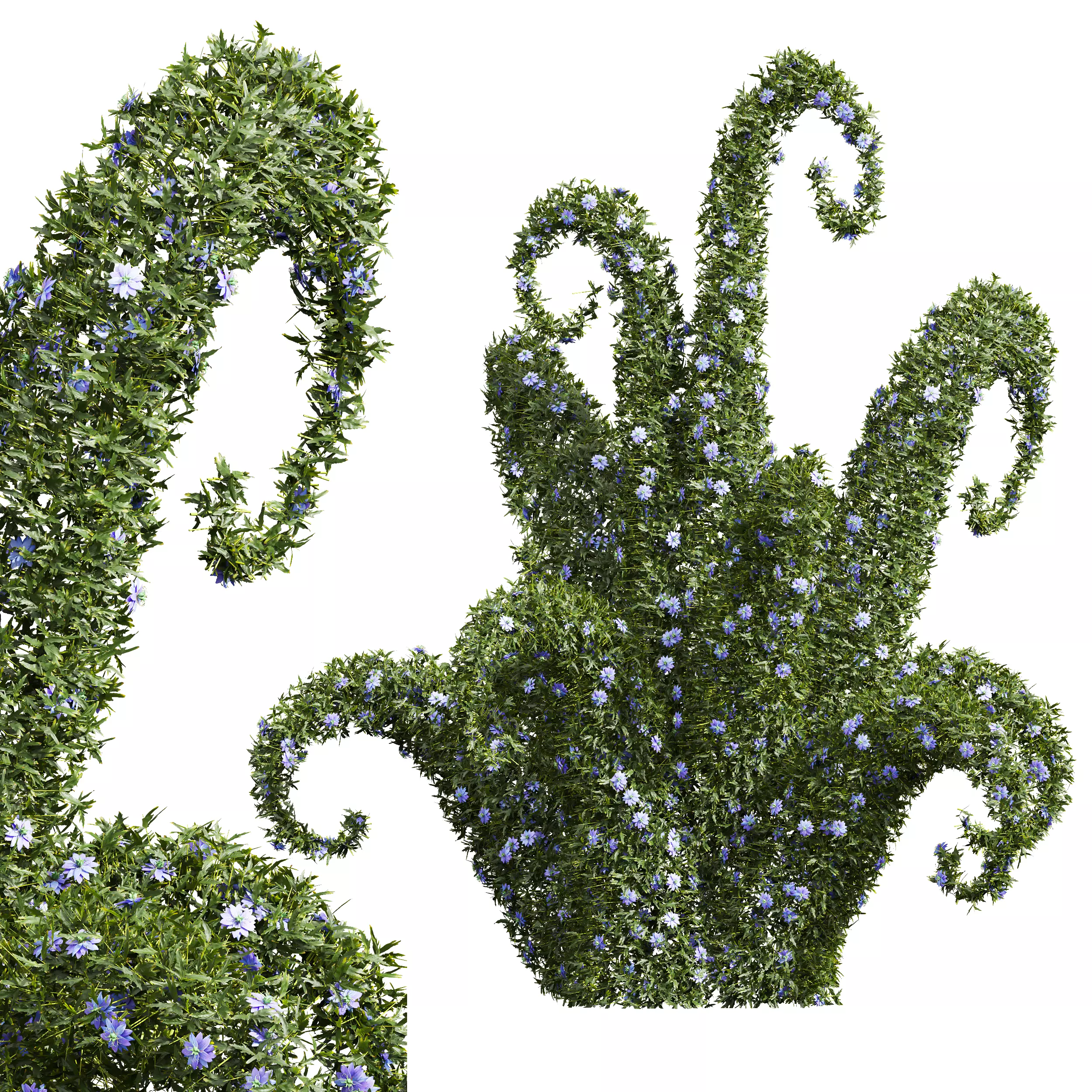 New Plant Nigella Damascena Jungfer Grunen Pruned 3D model_0