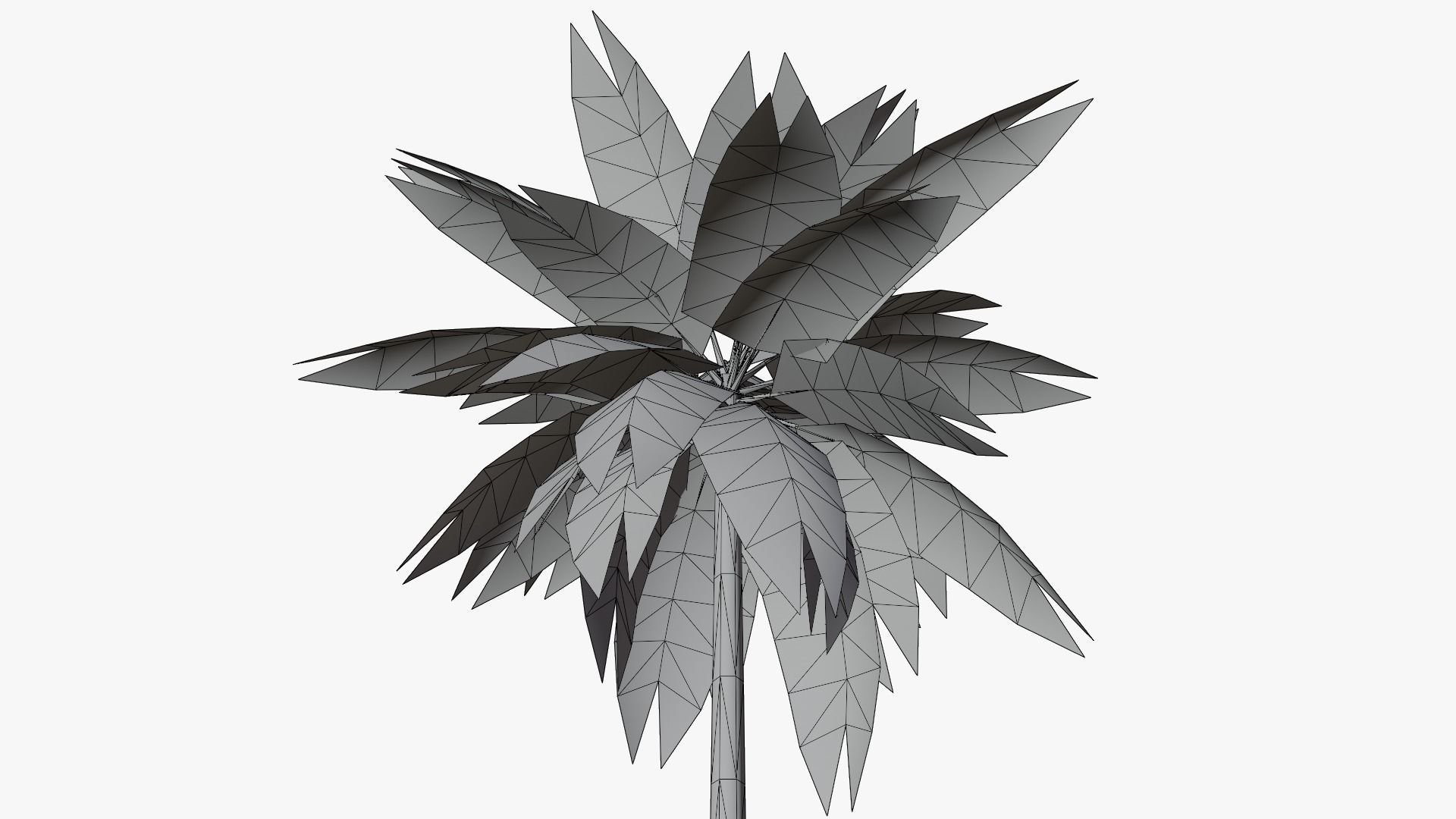 Lowpoly Date Palm v1 Low-poly 3D model_9