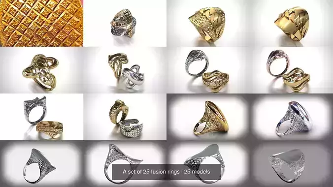 A set of 25 fusion rings 3D Model Collection