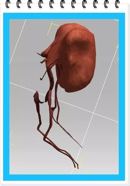 Human Body Parts after the explosion Low-poly 3D model