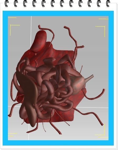 Human Body Parts   after the explosion  Low-poly 3D model_1