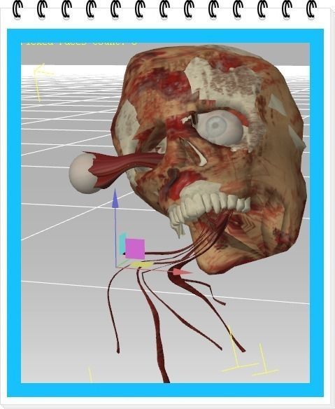 Human Body Parts   after the explosion  Low-poly 3D model_3