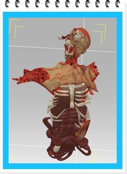 Human Body Parts   after the explosion  Low-poly 3D model_2