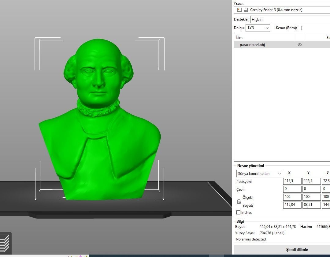 Paracelsus bust 3D print model_13