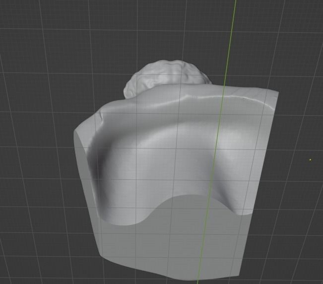 Paracelsus bust 3D print model_21