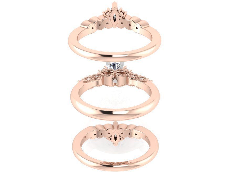 Crown diamond ring with 2-Bands 2898 3D print model 3D print model_3