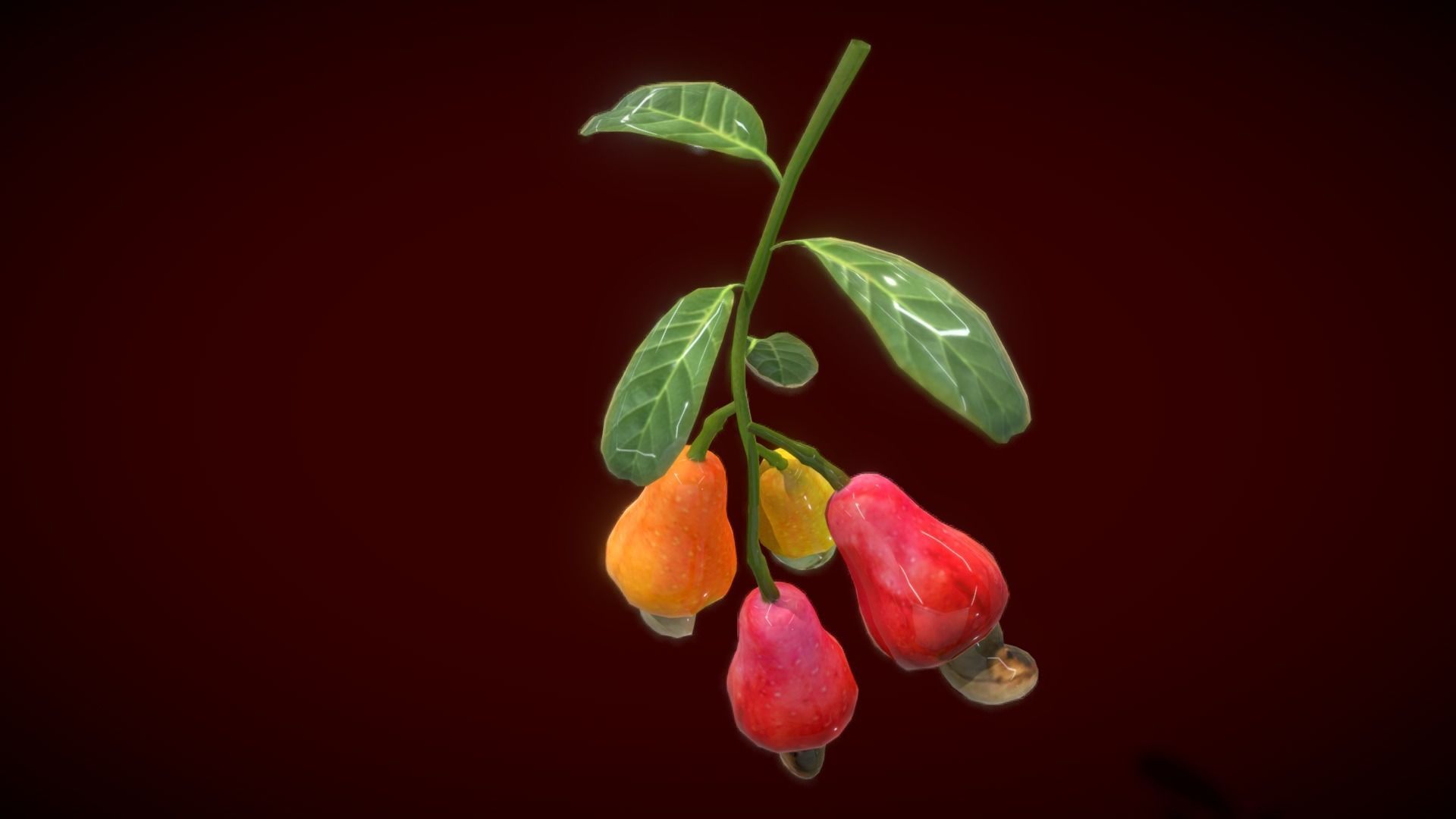 Collection Fruit Path 4 Low-poly 3D model_9