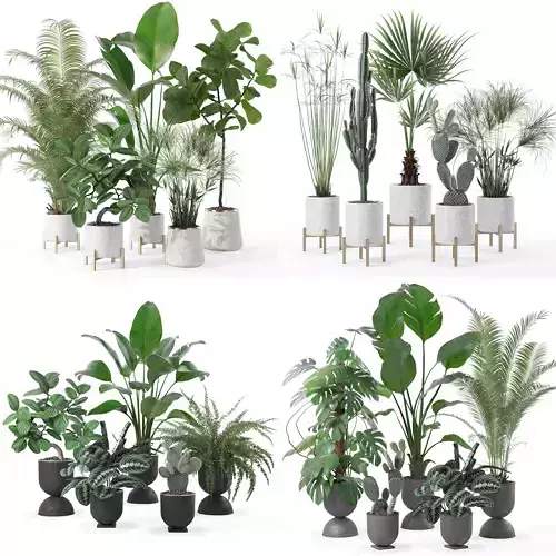 20 Photorealistic Flowers for Interiors - set 120 123 124 143 3D Model Collection