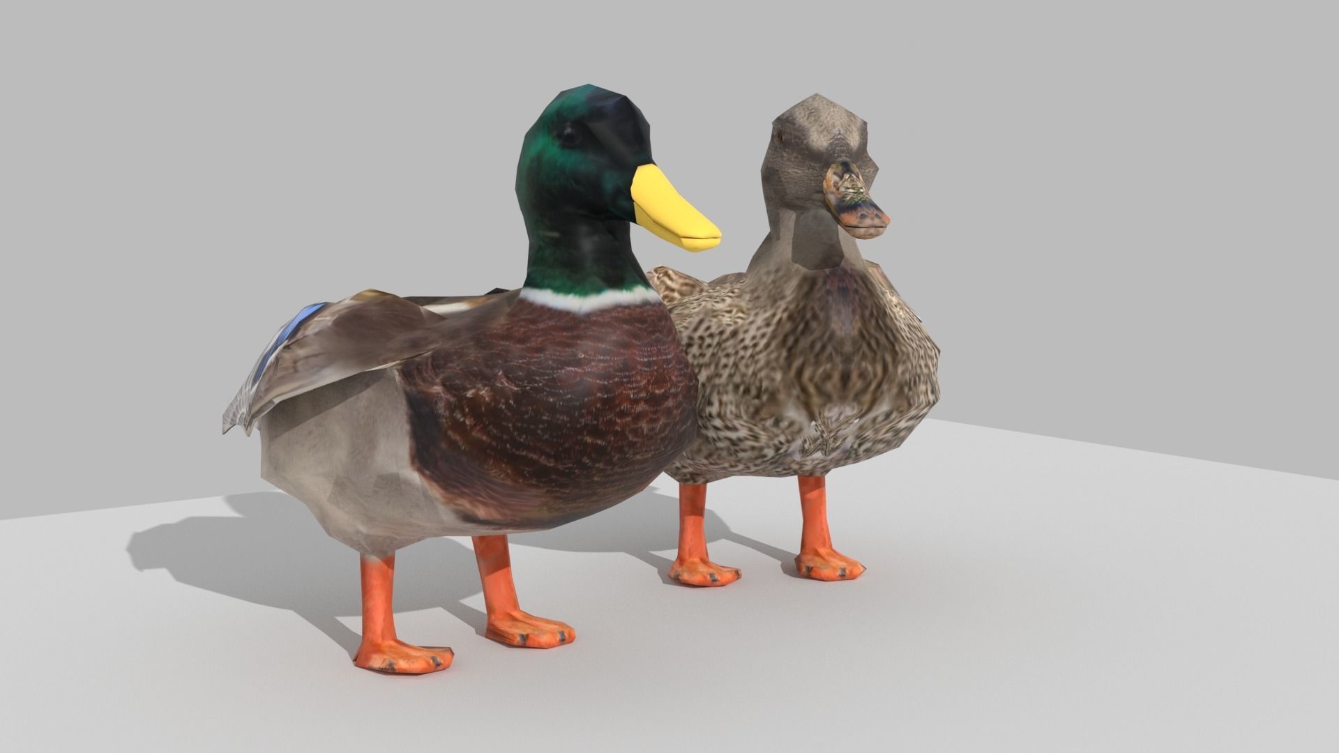 Ducks two Low-poly 3D model_3