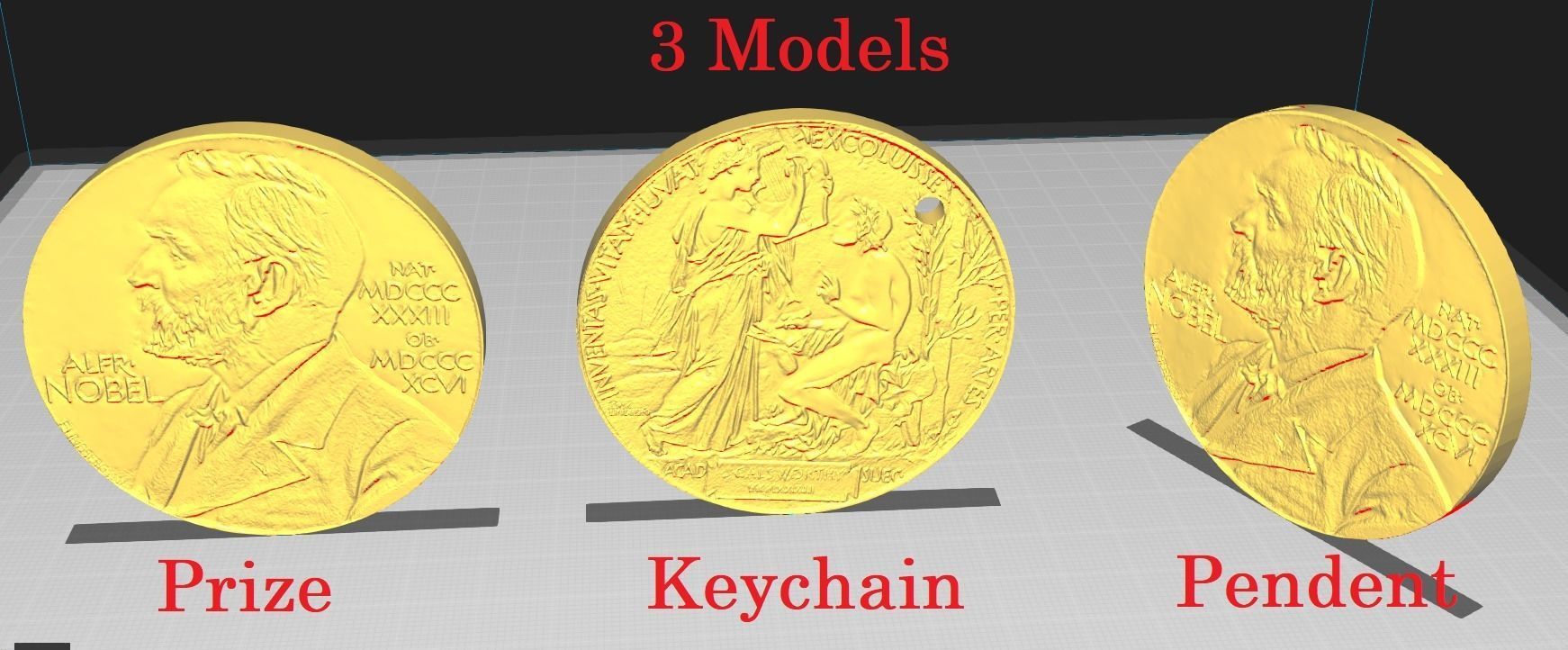 Nobel Prize 3D print model_6