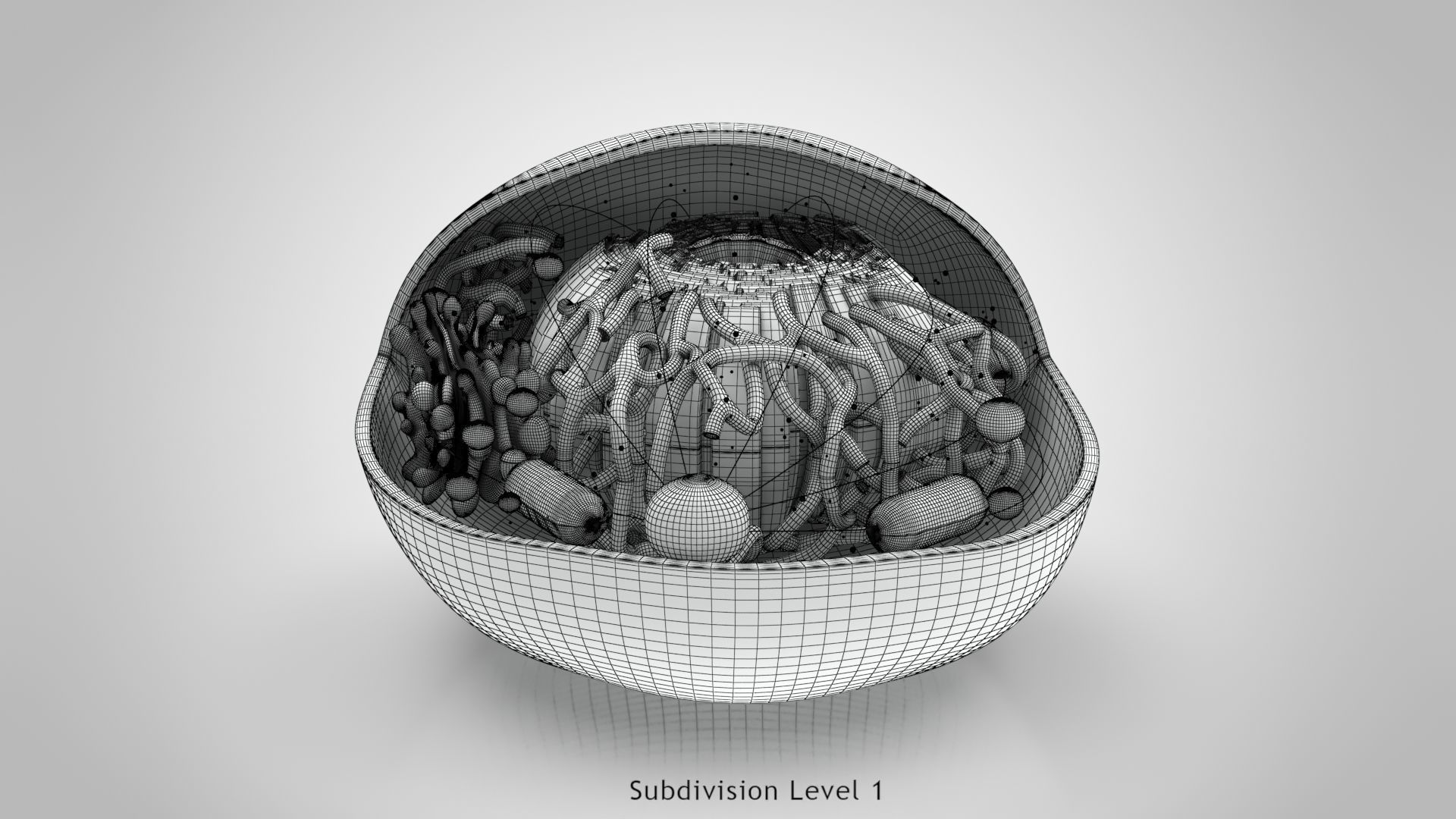 Animal Cell Low-poly 3D model_20