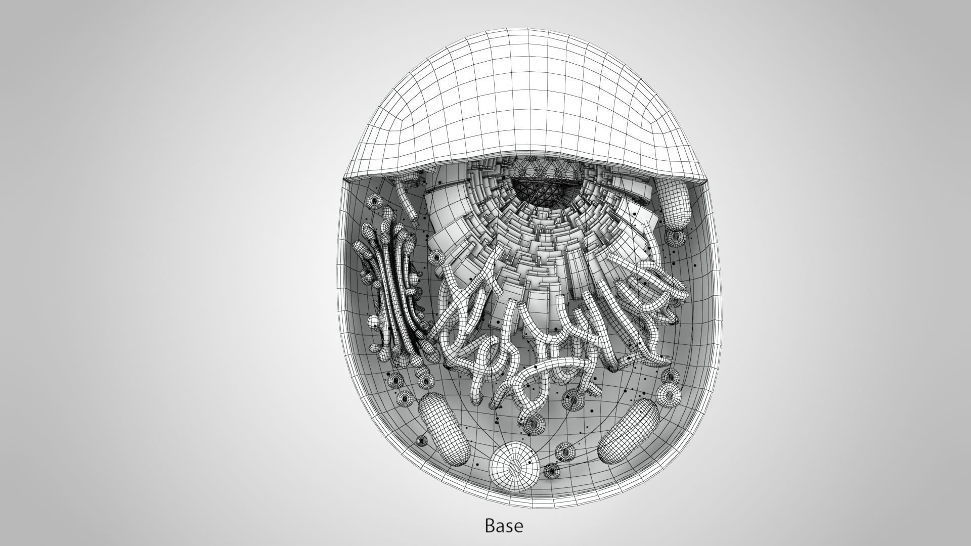 Animal Cell Low-poly 3D model_14