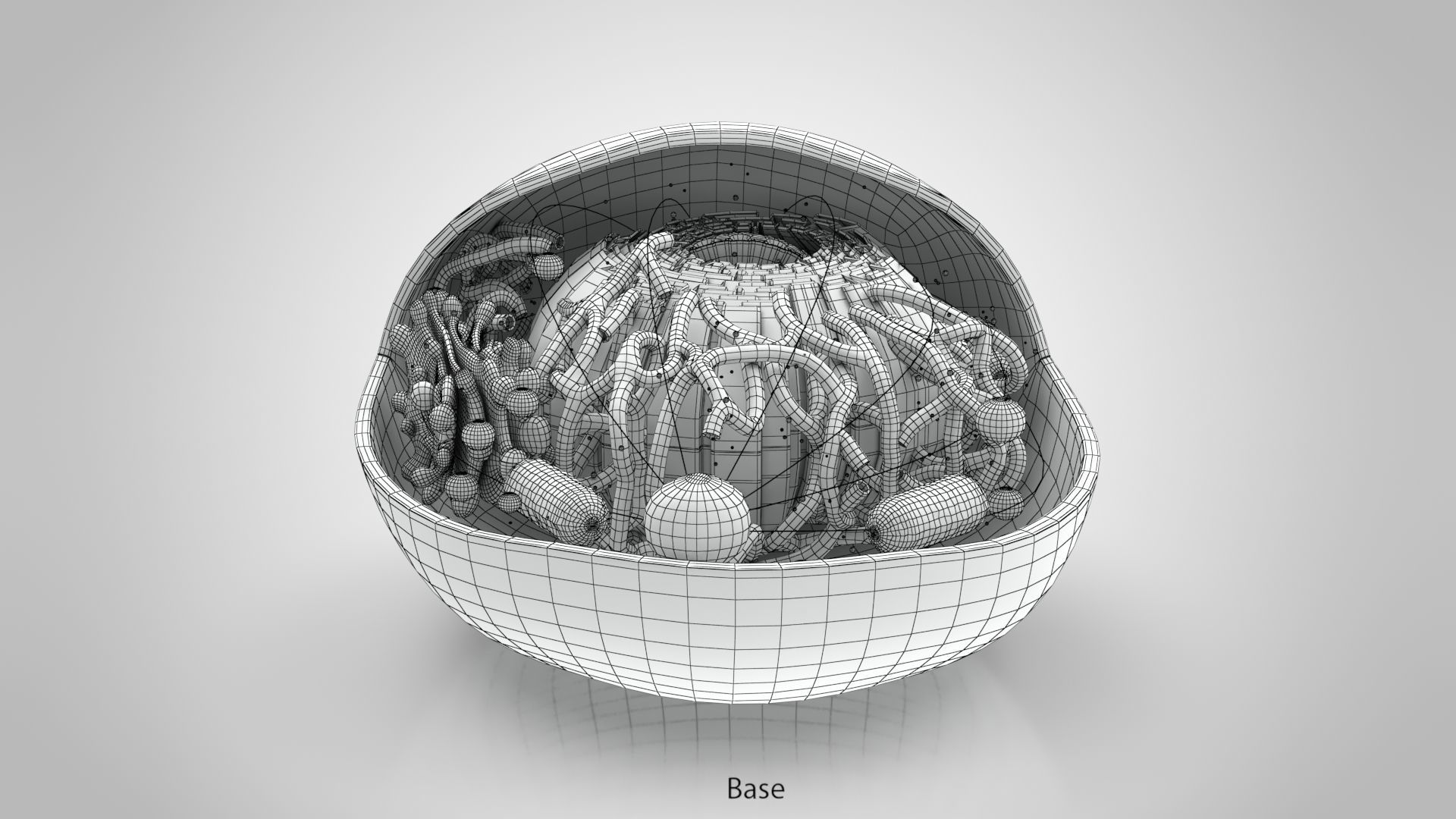 Animal Cell Low-poly 3D model_12