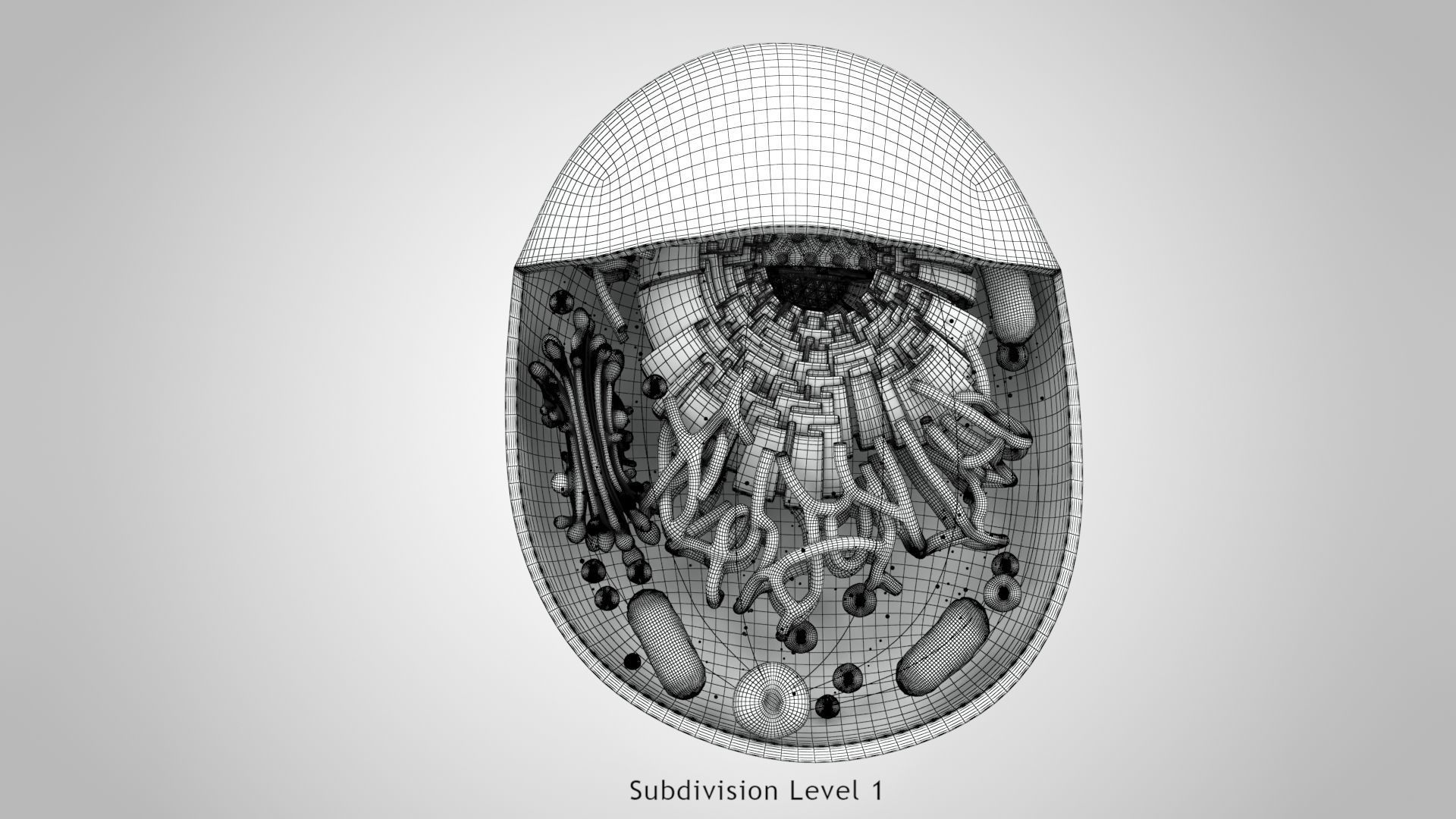 Animal Cell Low-poly 3D model_16