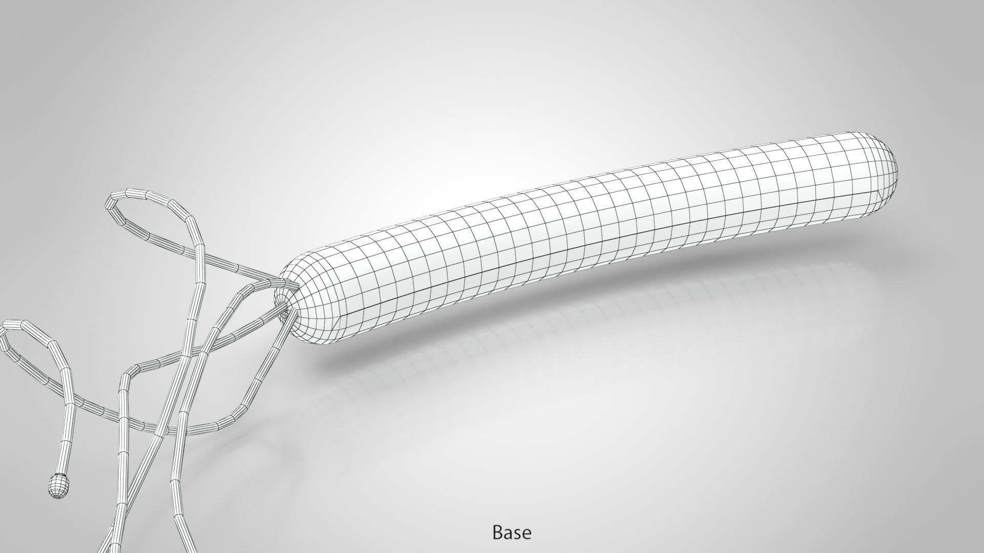 Prokaryotic structure  Low-poly 3D model_17